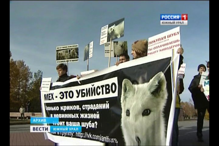 В центре Челябинска пройдет антимеховой марш