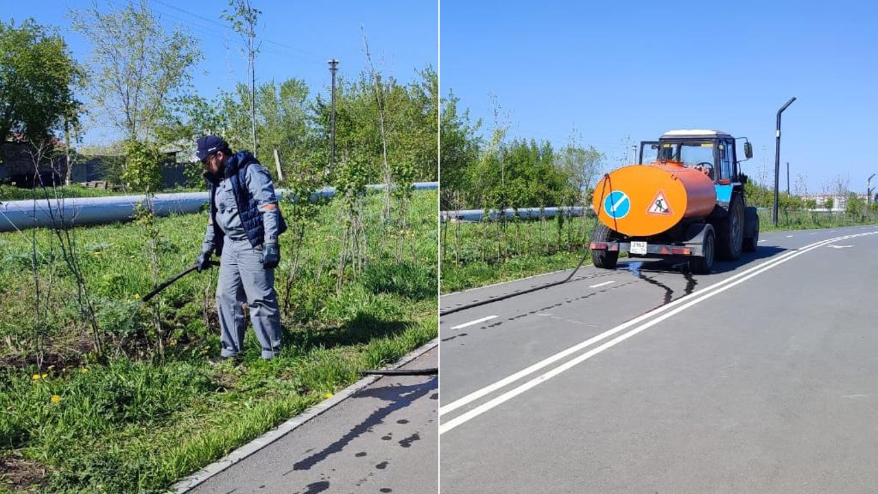 Полив деревьев начался в парках и скверах Челябинска