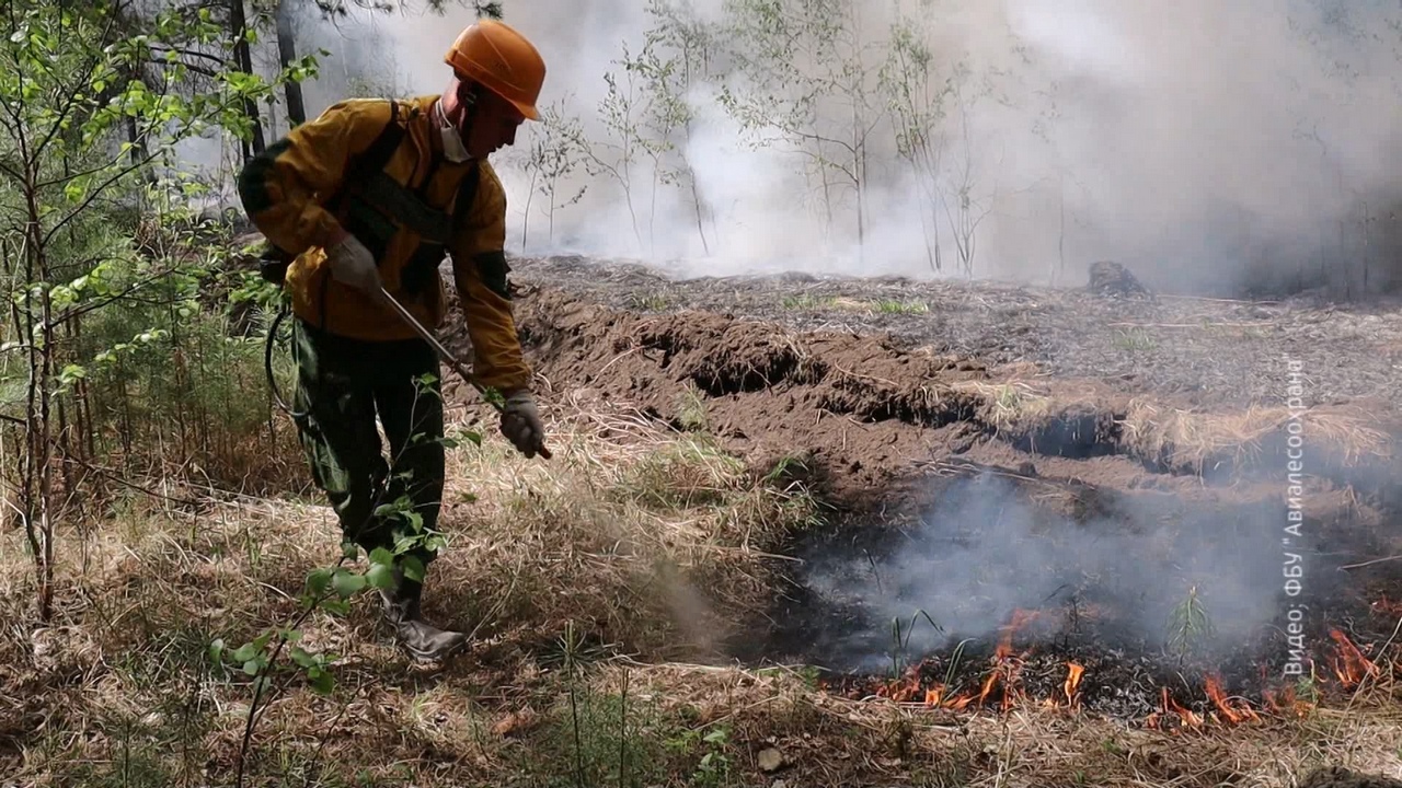 В Челябинской области в июне ожидается высокая пожарная опасность