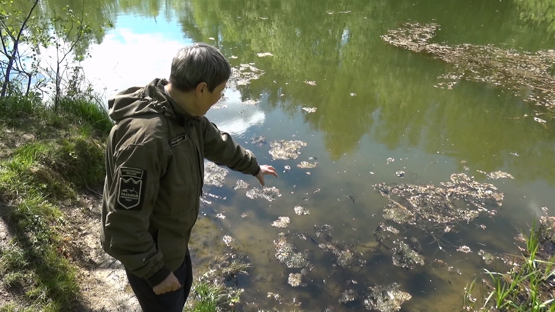 В нацпарке Челябинской области с трепетом ждут нашествия нескольких тысяч жаб 