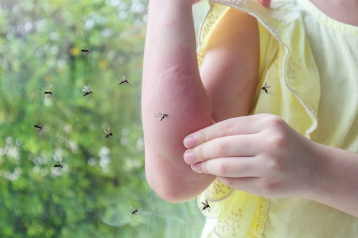 Нашествие кровососущих: врач из Челябинска рассказала, как спастись от комаров