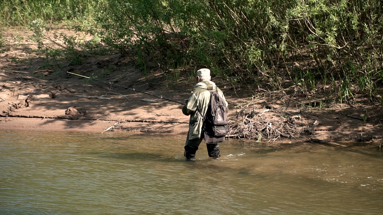 Как в воду канула: почему в Челябинской области стало меньше рыбы