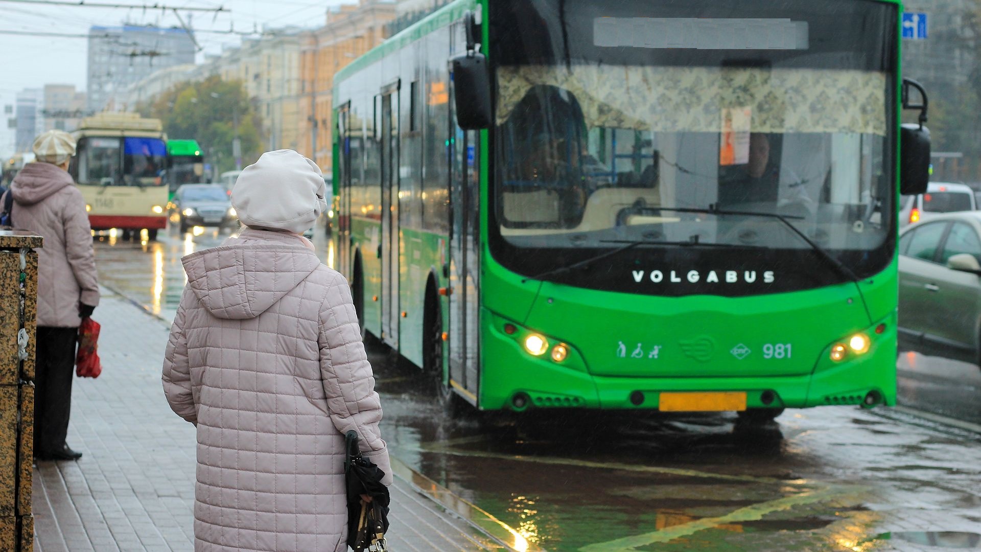 В Челябинске завершают работу садовые маршруты