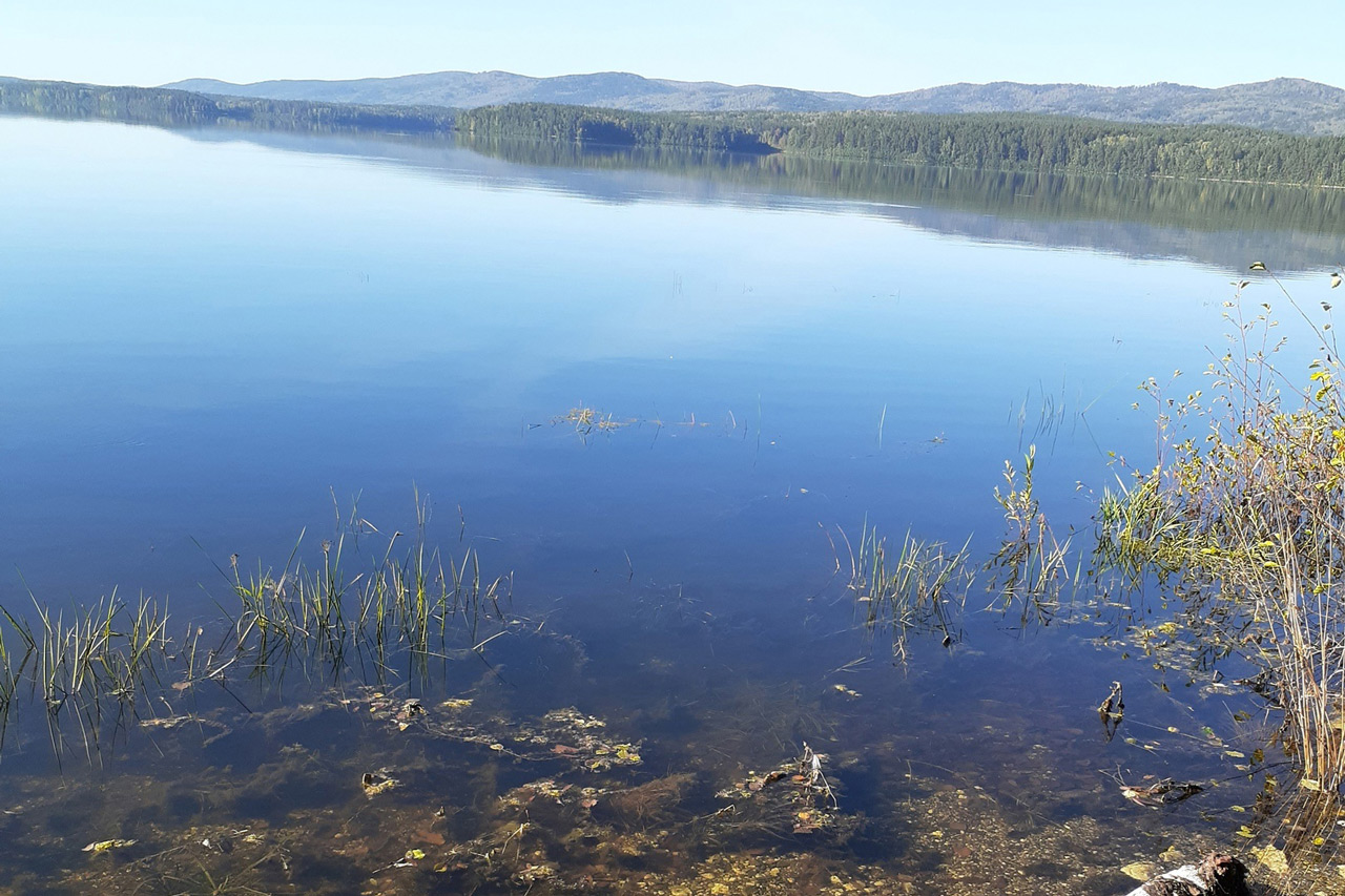 Ученые взяли пробы воды из озера в Ильменском заповеднике